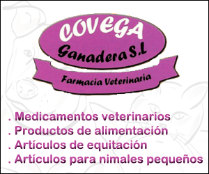 Fuentes de O&ntilde;oro estrena con &eacute;xito su primer D&iacute;a del Hornazo | Imagen 1